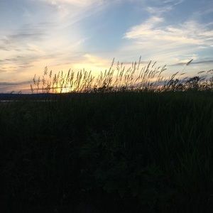 Meet your Posher, Florence